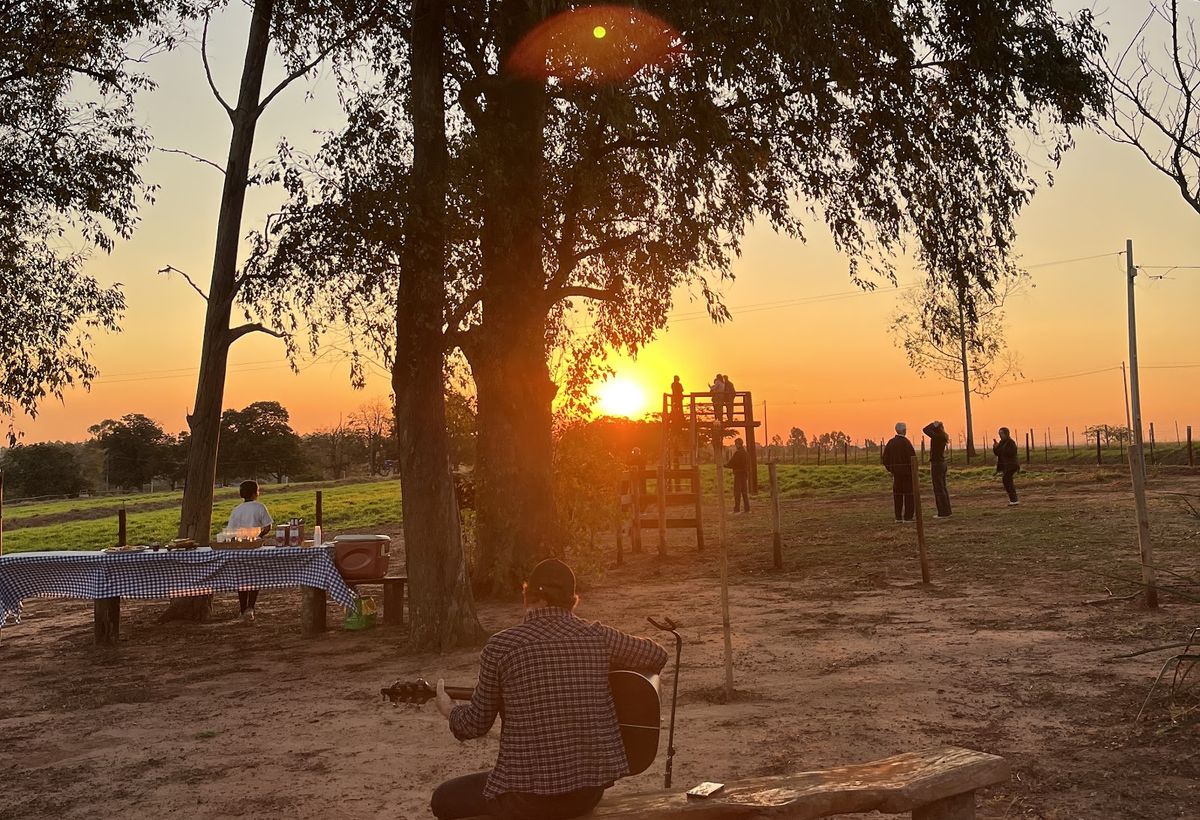 Música ao vivo no Mirante do Pôr do Sol, com o sol se pondo atrás das árvores